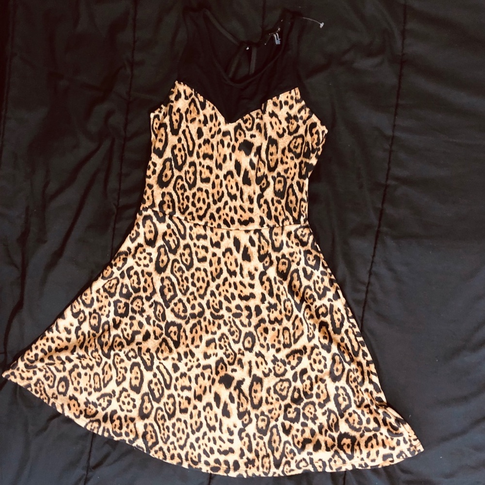 Forever21 Mesh V-neck Cheetah Skater Dress